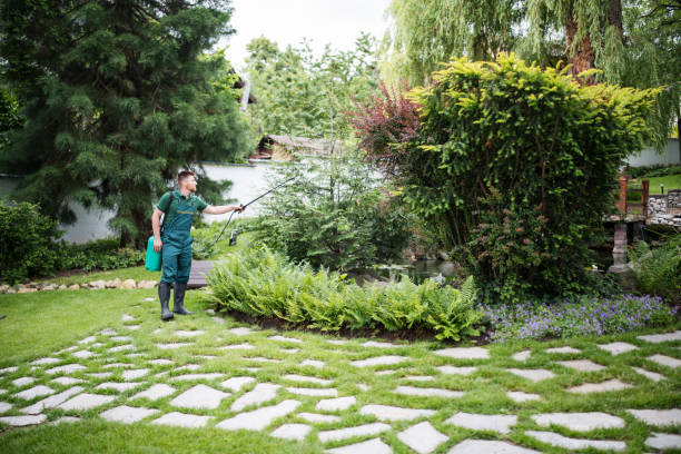 Best Emergency Pest Control  in Wantagh, NY